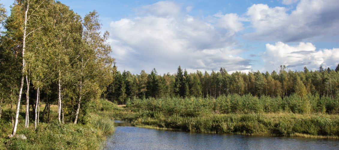 kaunismaa_37089925776_o