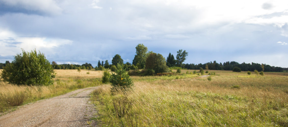 kaunismaa_37108122552_o