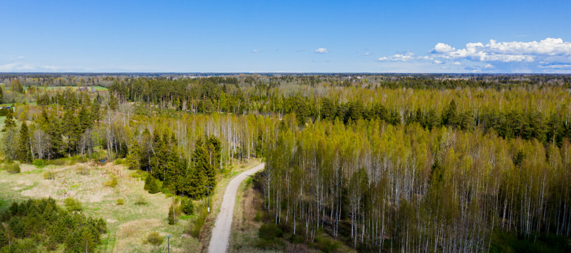 kaunismaa-droon-mai-2020-3